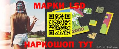 ECSTASY Краснодар